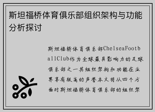 斯坦福桥体育俱乐部组织架构与功能分析探讨